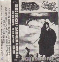 Blood Suckers : Cursed Live